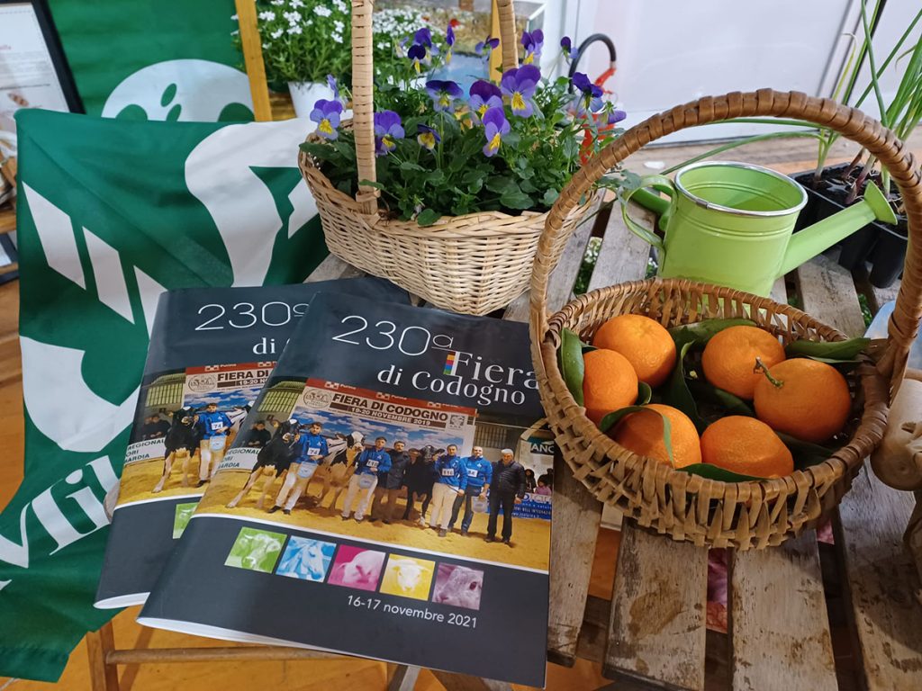 Fiera di Codogno Fiera di Codogno