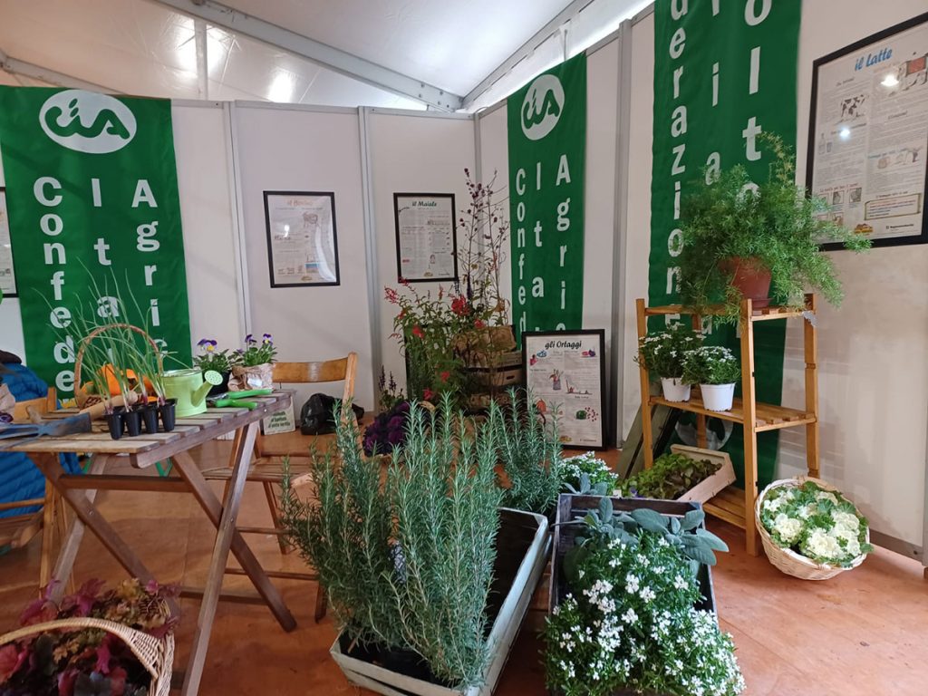 Fiera di Codogno Fiera di Codogno