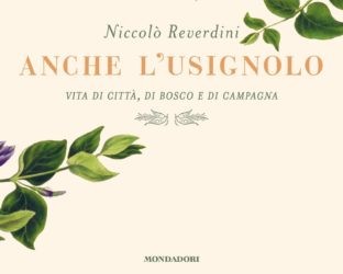 ANCHE L'USIGNOLO